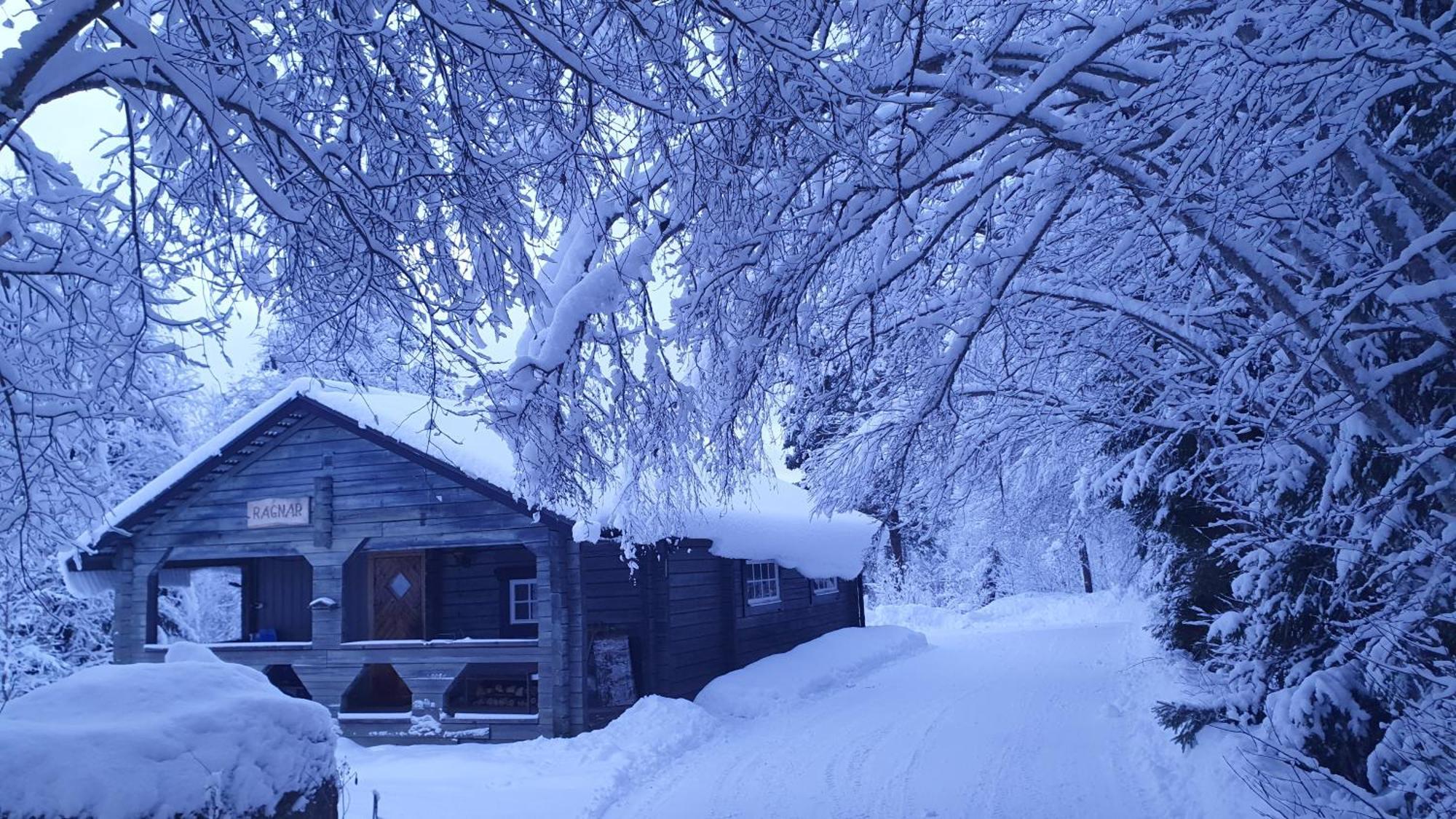 Vikinggard Cottages Holjes Luaran gambar